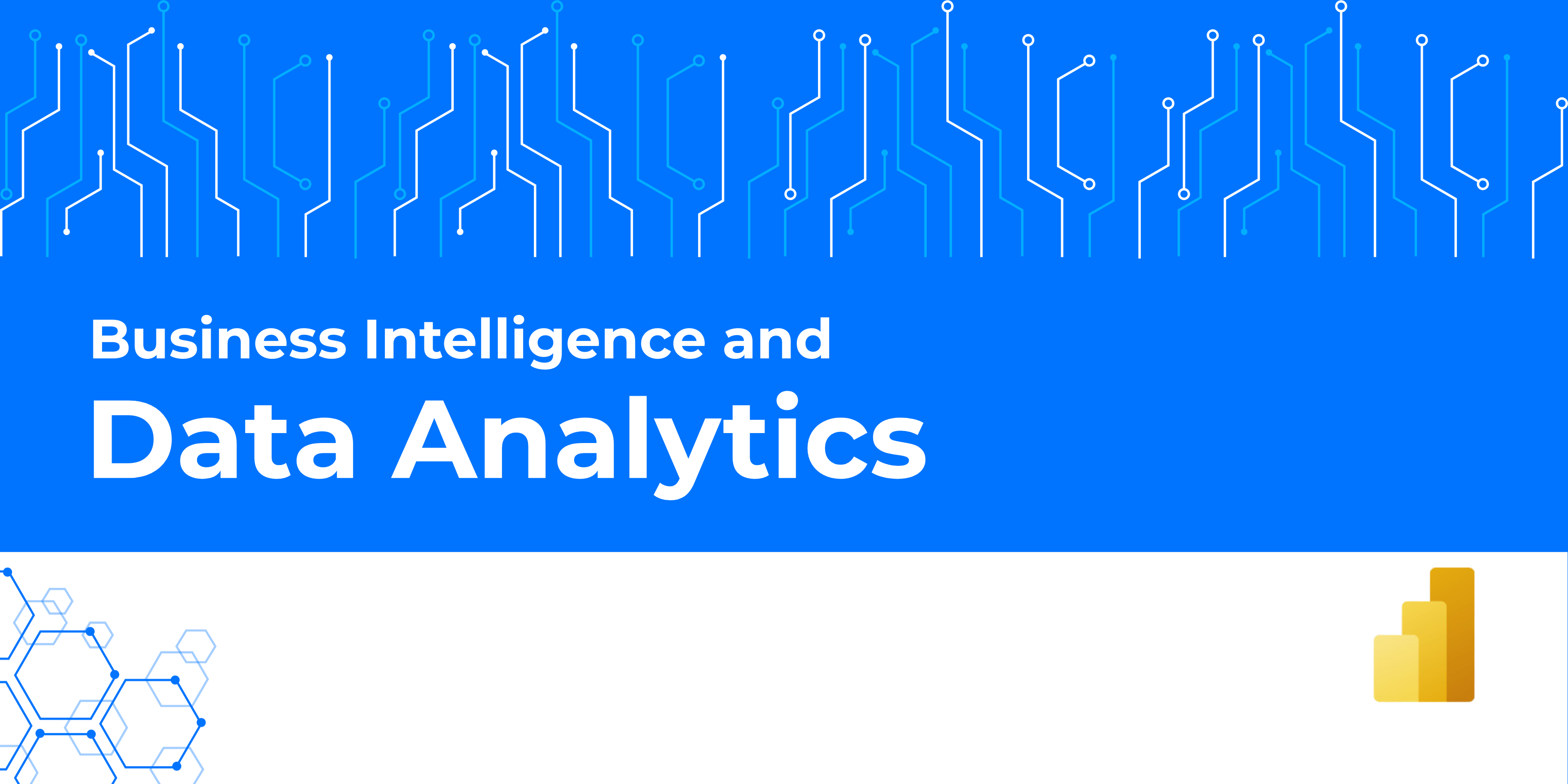 Data Analytics with Power BI